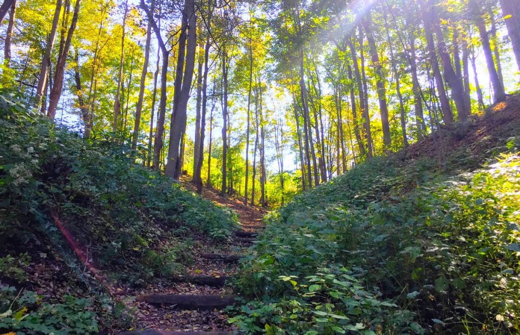 Baltimore Woods Nature Center, Marcellus, NY
