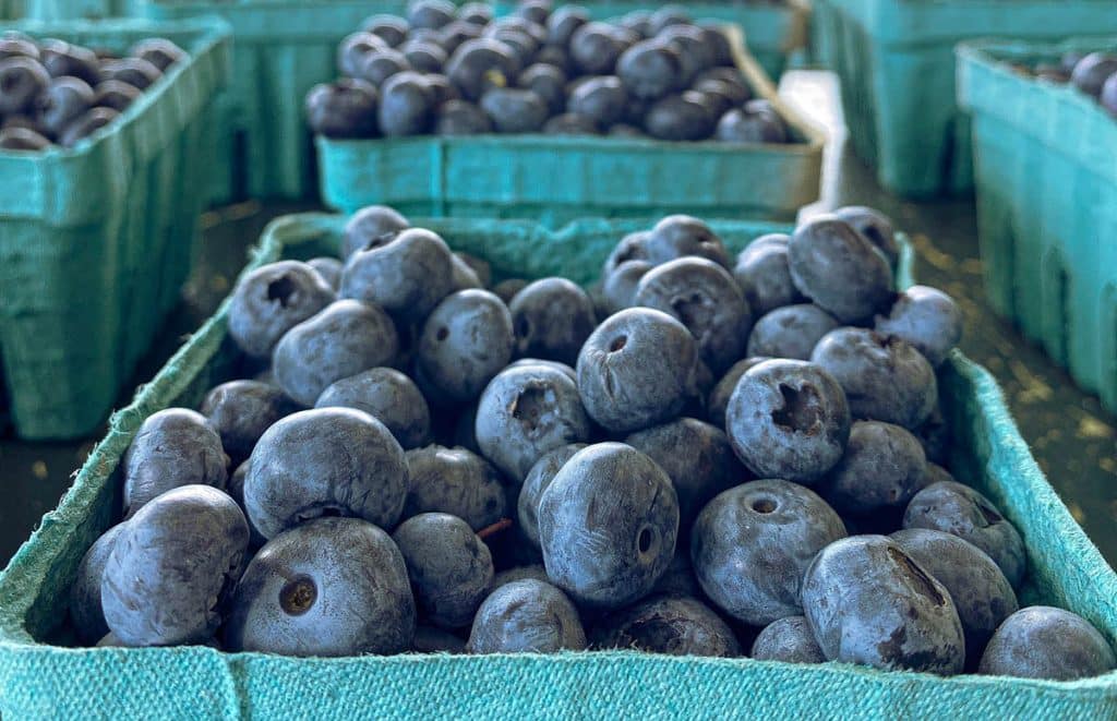 Reeves Farms, Baldwinsville, NY