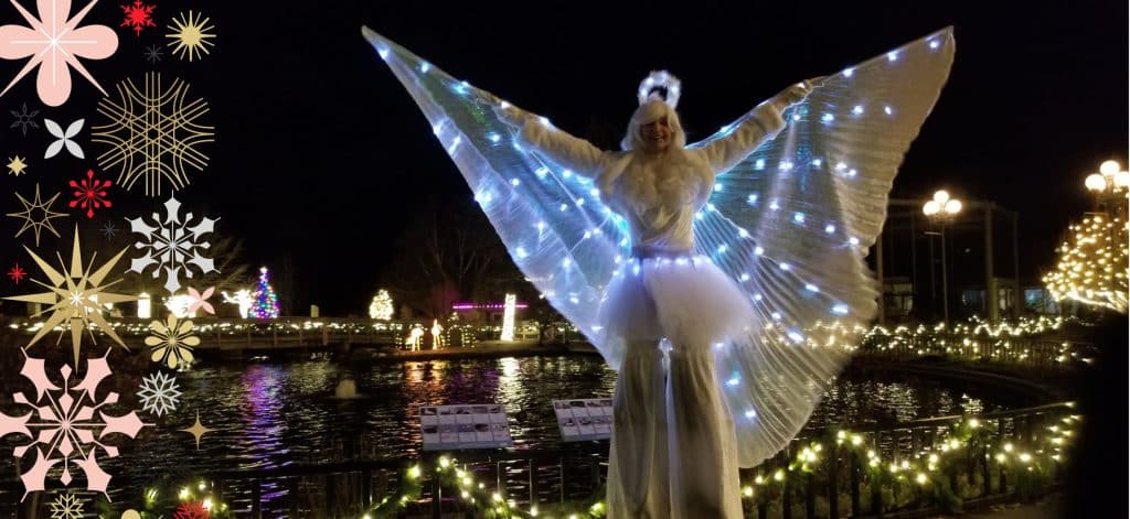 holiday lights at Rosamond Gifford Zoo