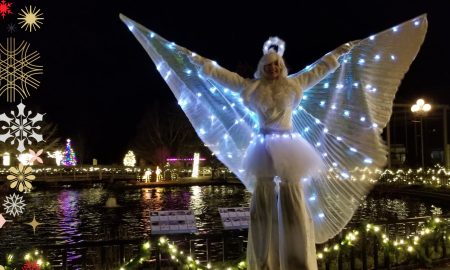 holiday lights at Rosamond Gifford Zoo