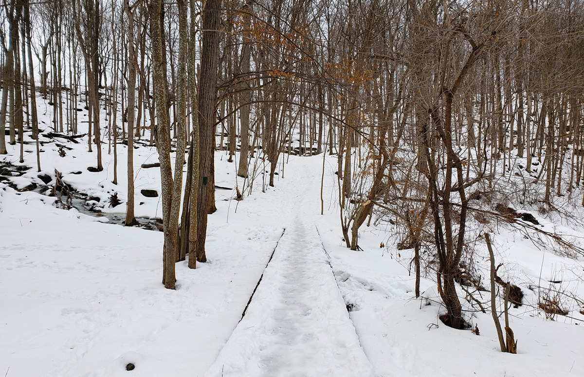 Winter at Clark Reservation State Park