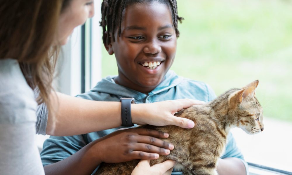 Boy petting cat