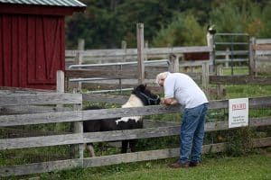 Critz Farms, Cazenovia