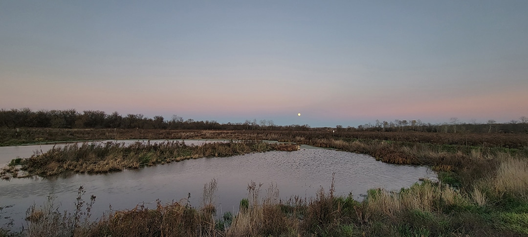 Canastota’s Great Swamp Conservancy