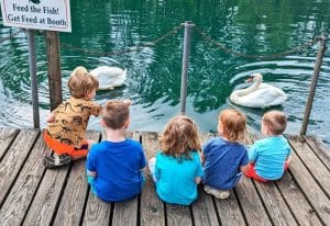 Fort Rickey Discovery Zoo.