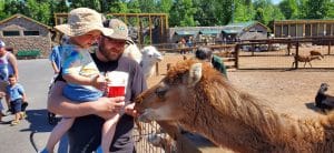 The Wild Animal Park, Chittenango.