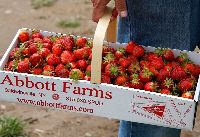 Abbott Farms