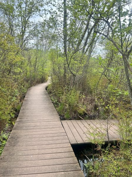 Beaver Lake Nature Center // Courtney Kless Photo