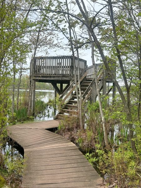 Beaver Lake Nature Center // Courtney Kless Photo