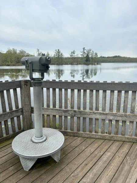 Beaver Lake Nature Center // Courtney Kless Photo