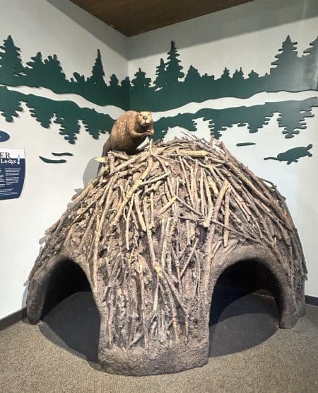 Beaver Lake Nature Center // Courtney Kless Photo