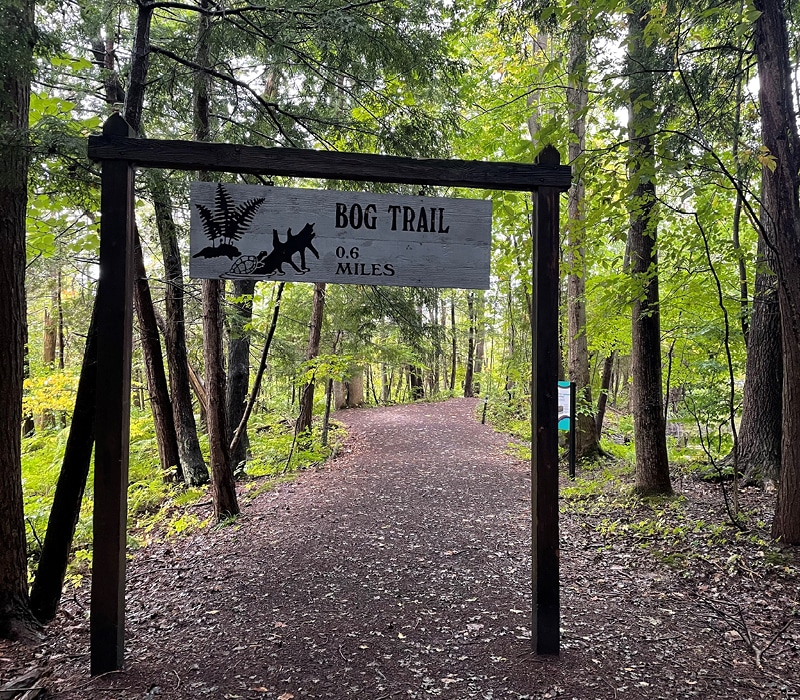 Bog Trail, Beaver Lake Nature Center, Baldwinsville, NY