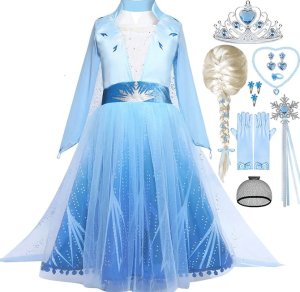 Elsa Costume