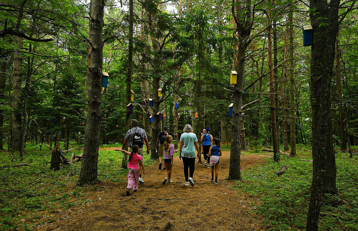 TROLLS: Save the Humans at the Wild Center, Tupper Lake, NY